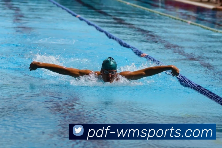 完美体育官网APP 体育赛事宣传图